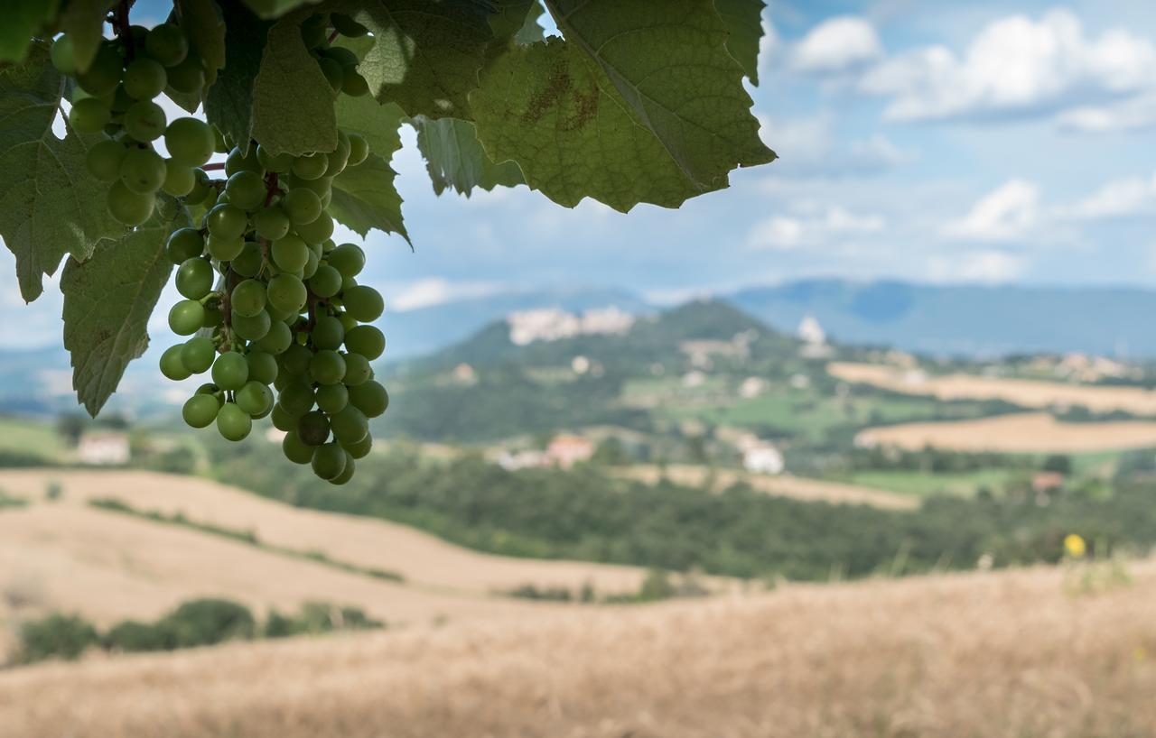 Vila Borgo Bianchini Todi Exteriér fotografie